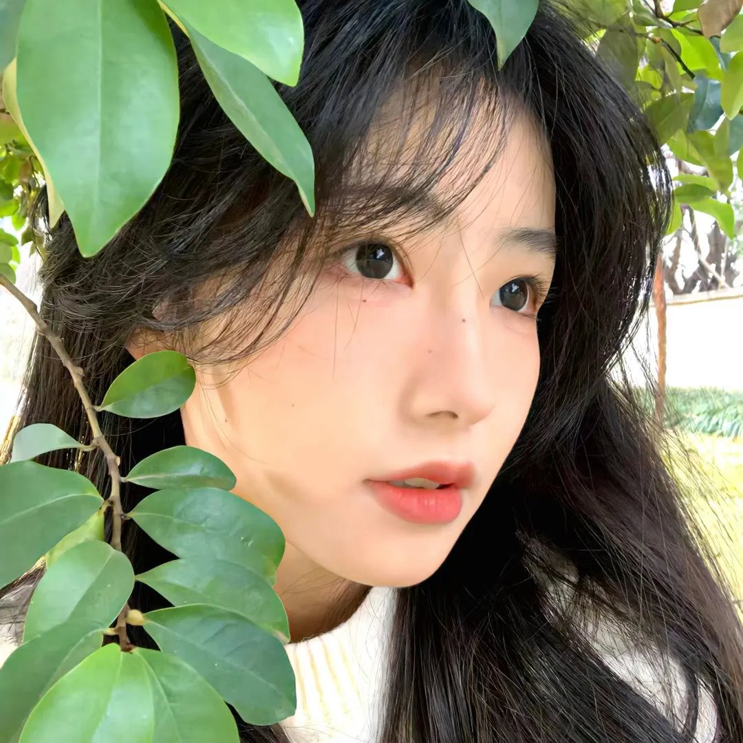 哈啦美容院海报
